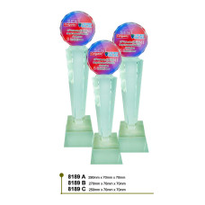 Crystal Glass Trophy NC8189 NC8189

